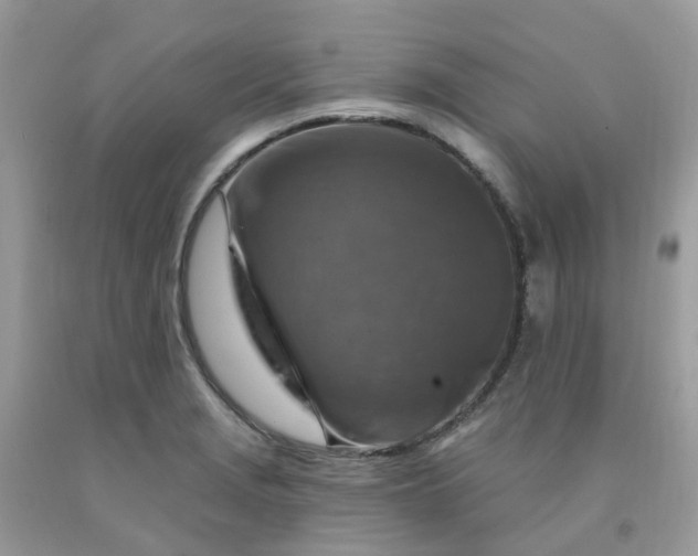 X0000091691229200709061118