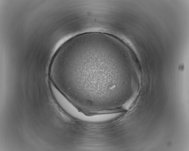 X0000091691230200709061118