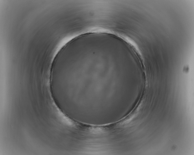 X0000091691231200709061118