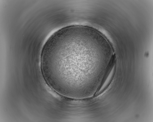 X0000091691232200709061118