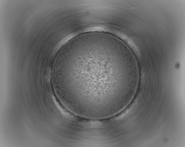 X0000091691233200709061118