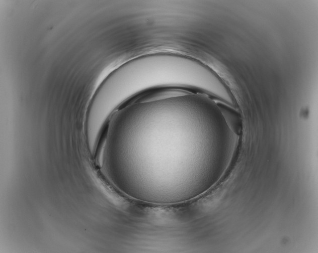 X0000091691234200709061118