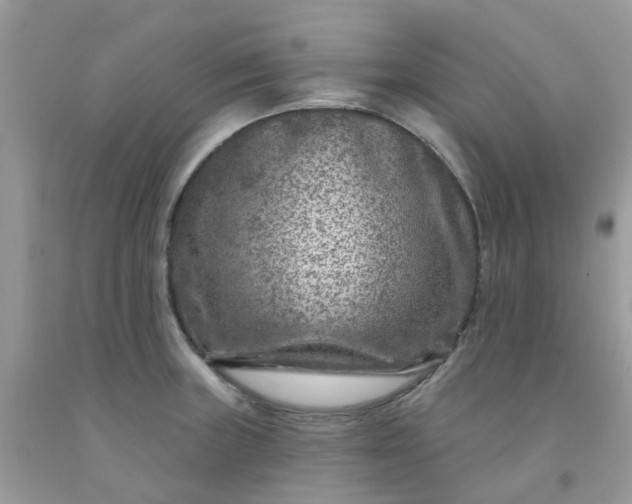 X0000091691235200709061118