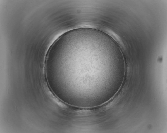 X0000091691236200709061118