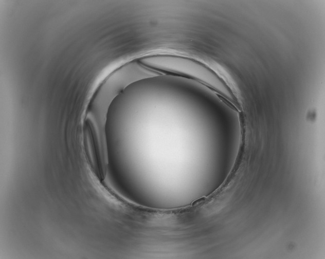 X0000091691238200709061118