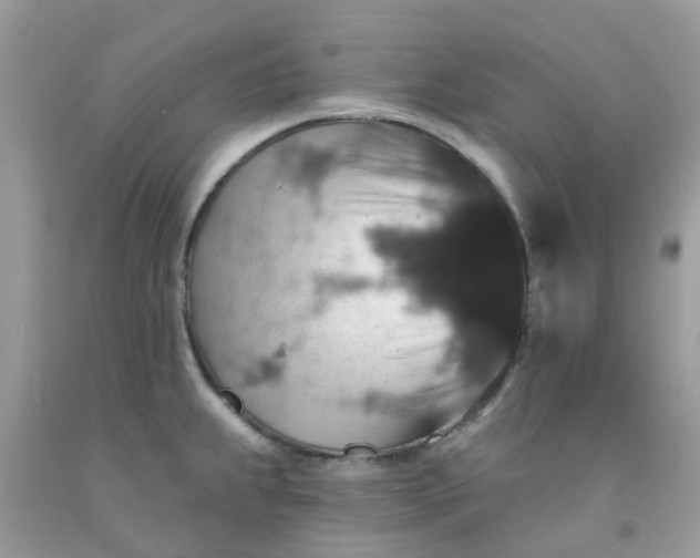 X0000091691239200709061118