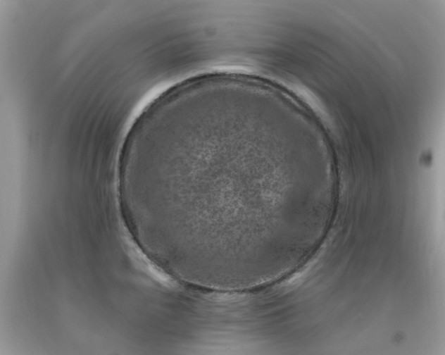 X0000091691240200709061118