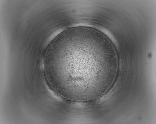 X0000091691241200709061118