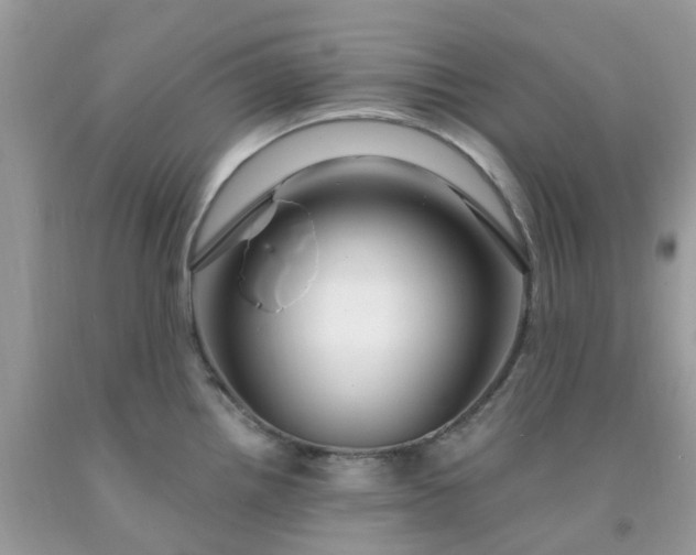 X0000091691242200709061118