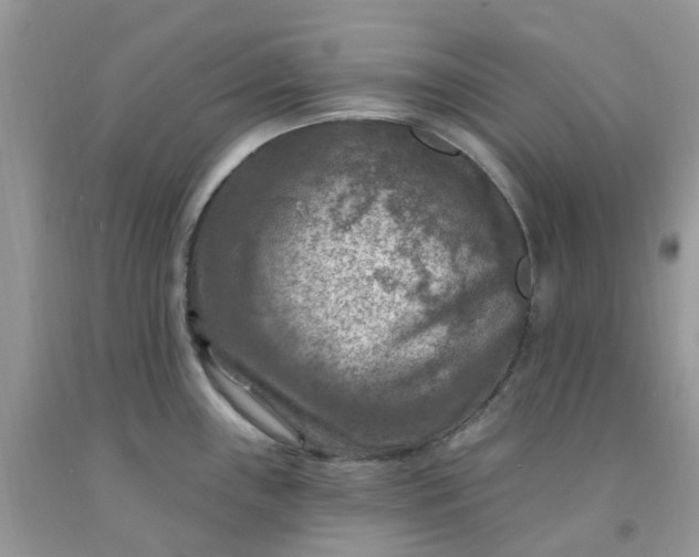 X0000091691243200709061118