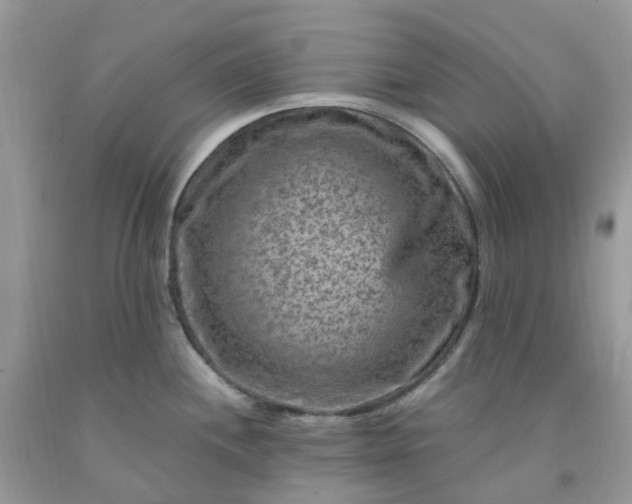 X0000091691244200709061118