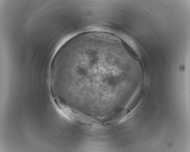 X0000091691247200709061118