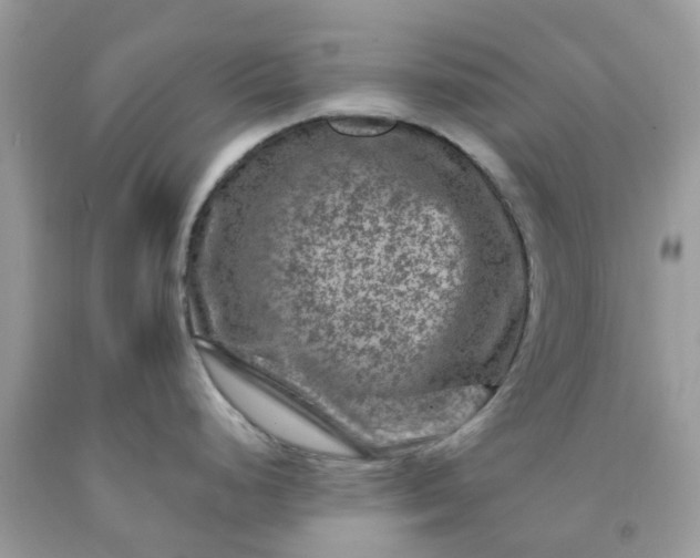 X0000091691248200709061118