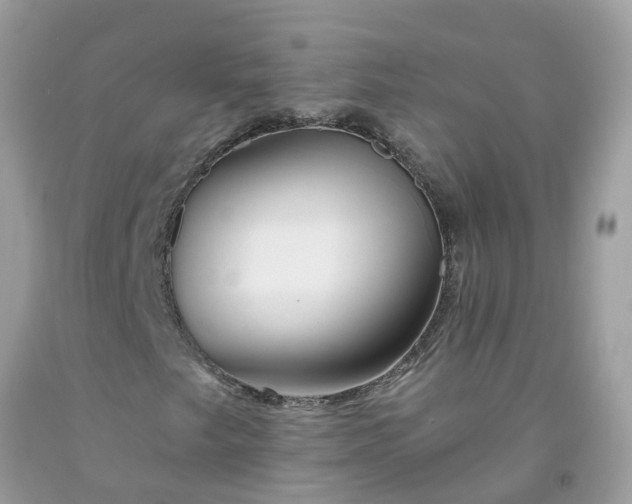 X0000091691249200709061118