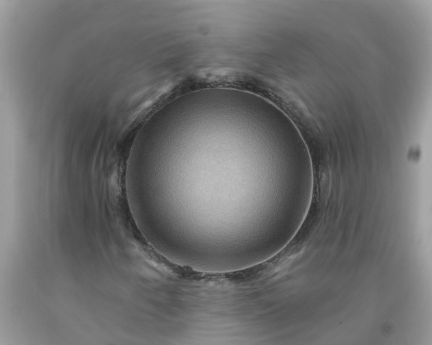 X0000091691250200709061118