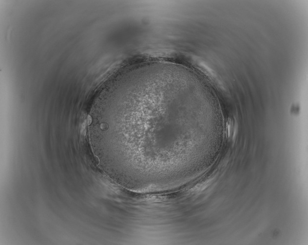 X0000091691251200709061118