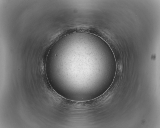 X0000091691252200709061118