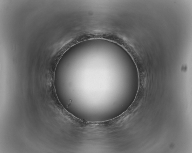 X0000091691253200709061118