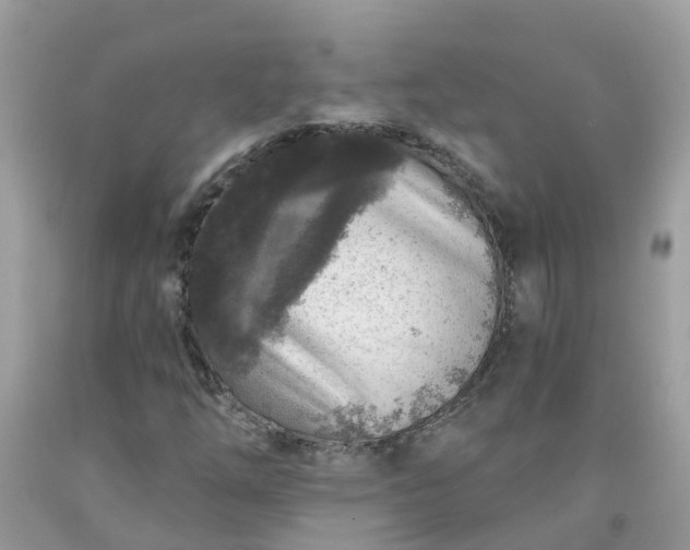 X0000091691254200709061118