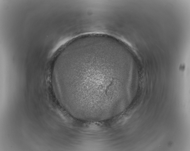 X0000091691255200709061118