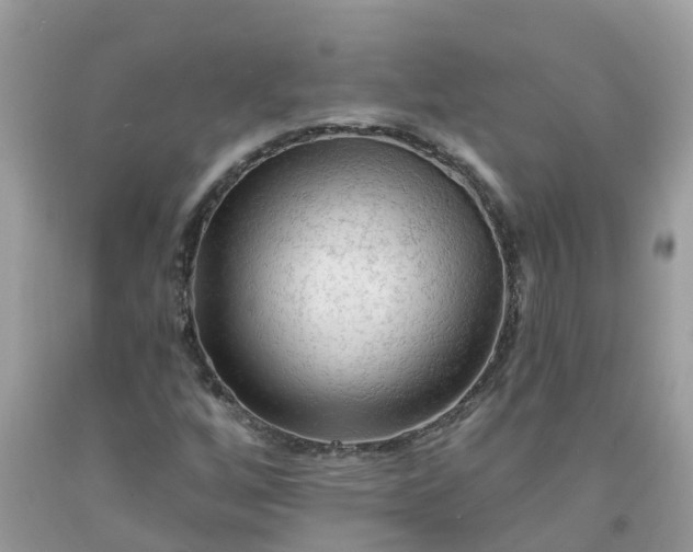 X0000091691256200709061118