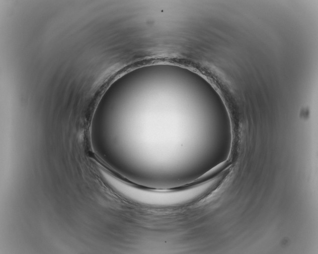 X0000091691257200709061118