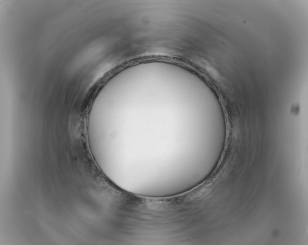 X0000091691258200709061118