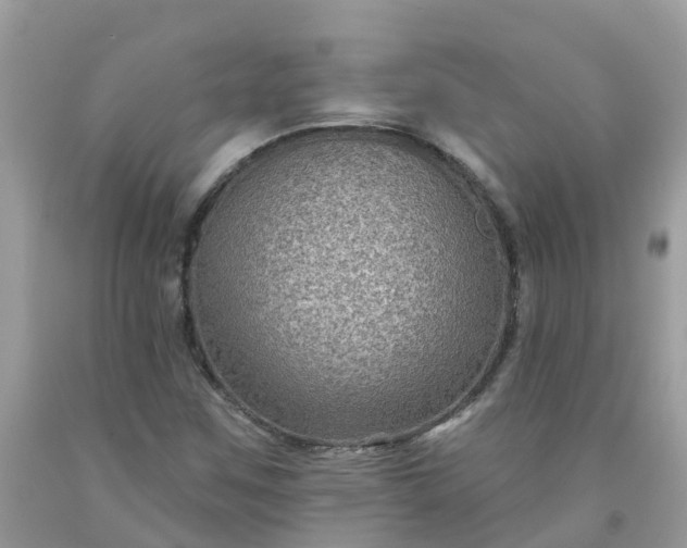 X0000091691259200709061118