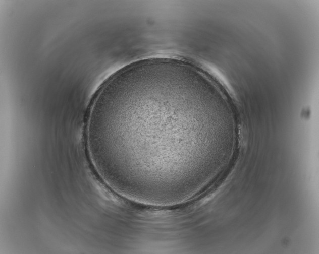 X0000091691260200709061118