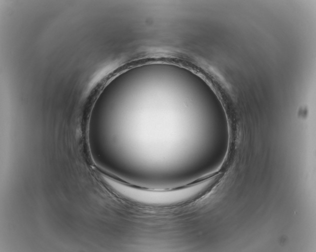 X0000091691261200709061118