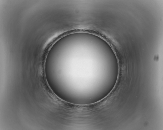 X0000091691262200709061118