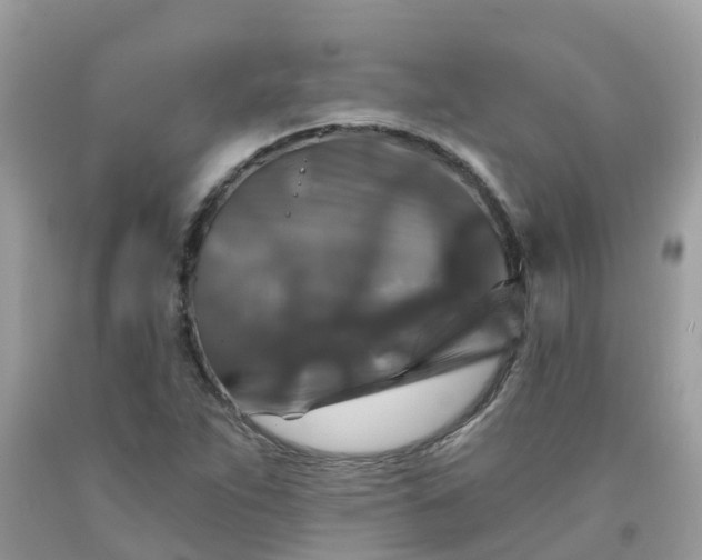 X0000091691263200709061118