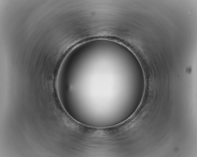 X0000091691265200709061118