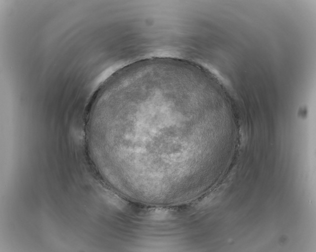 X0000091691266200709061118