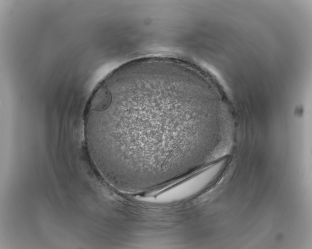 X0000091691267200709061118