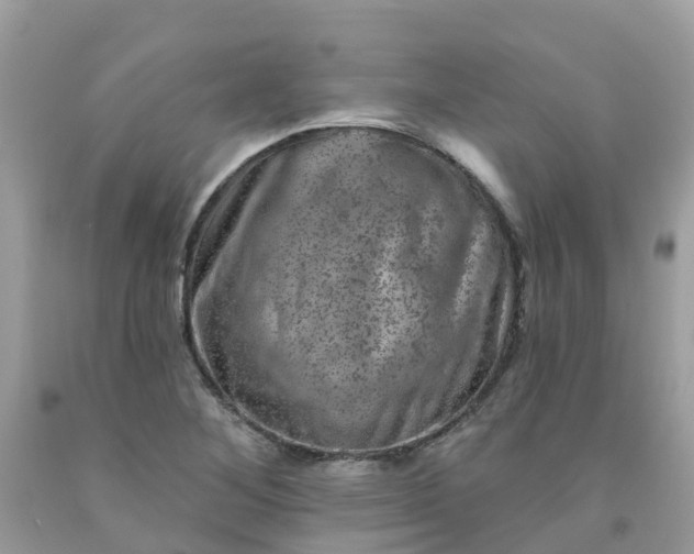 X0000091691268200709061118