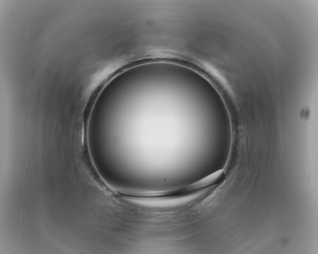 X0000091691269200709061118