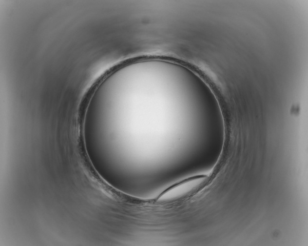 X0000091691270200709061118