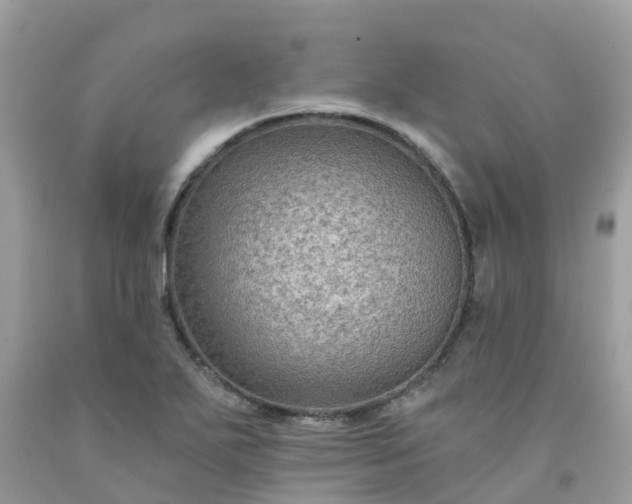 X0000091691271200709061118