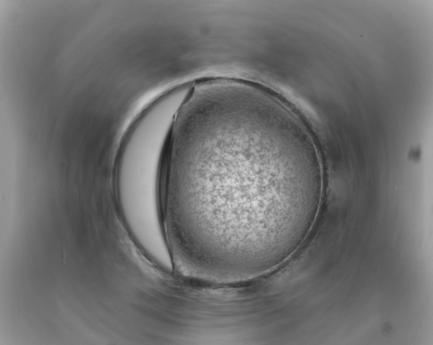 X0000091691272200709061118