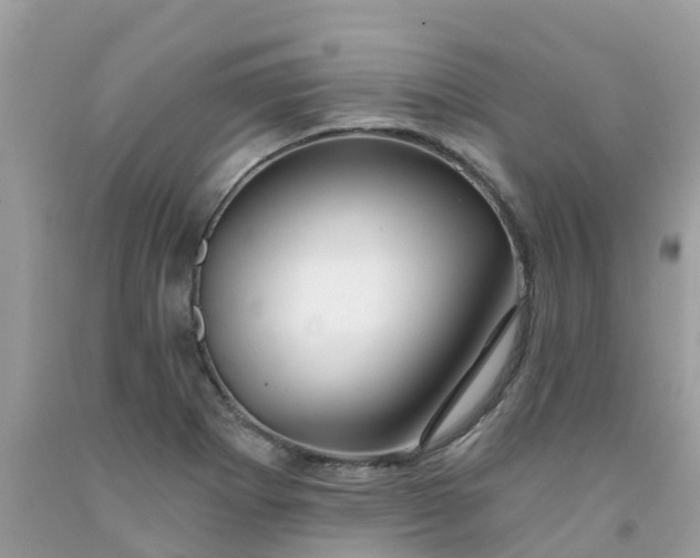 X0000091691273200709061118