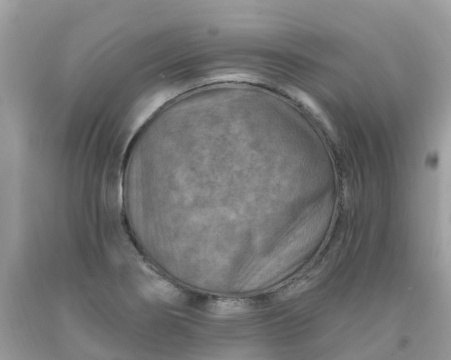 X0000091691274200709061117