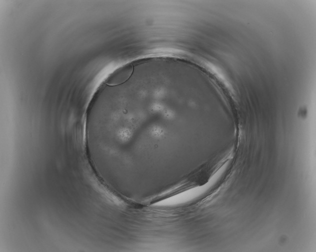 X0000091691275200709061117