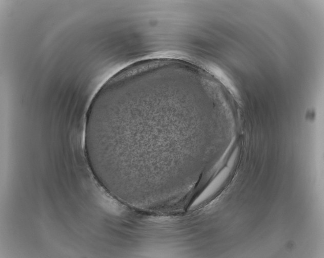 X0000091691276200709061117