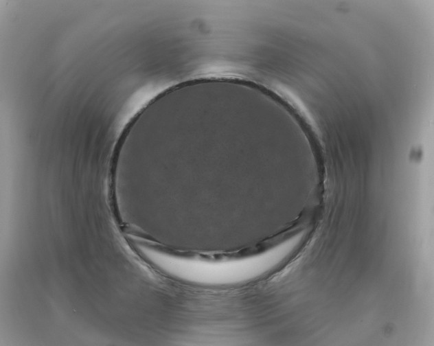 X0000091691277200709061117