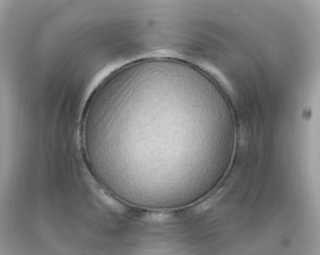 X0000091691278200709061117