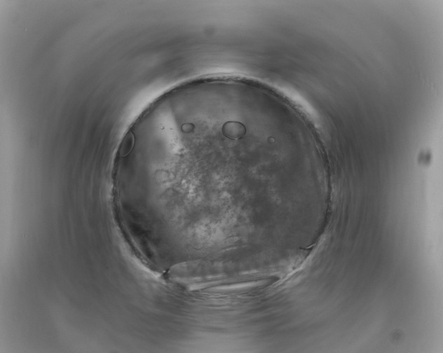 X0000091691279200709061117