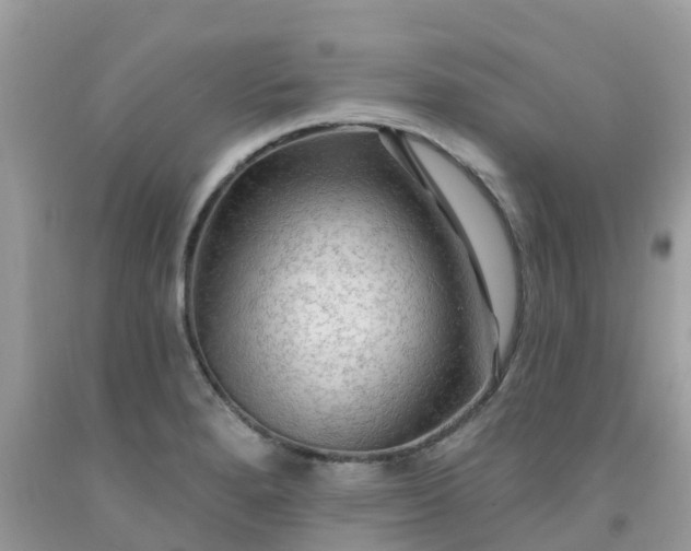 X0000091691280200709061117