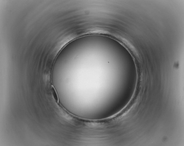 X0000091691281200709061117