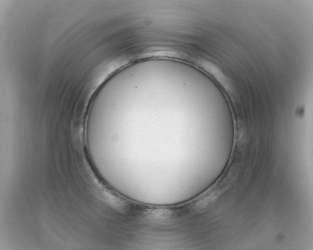 X0000091691282200709061117